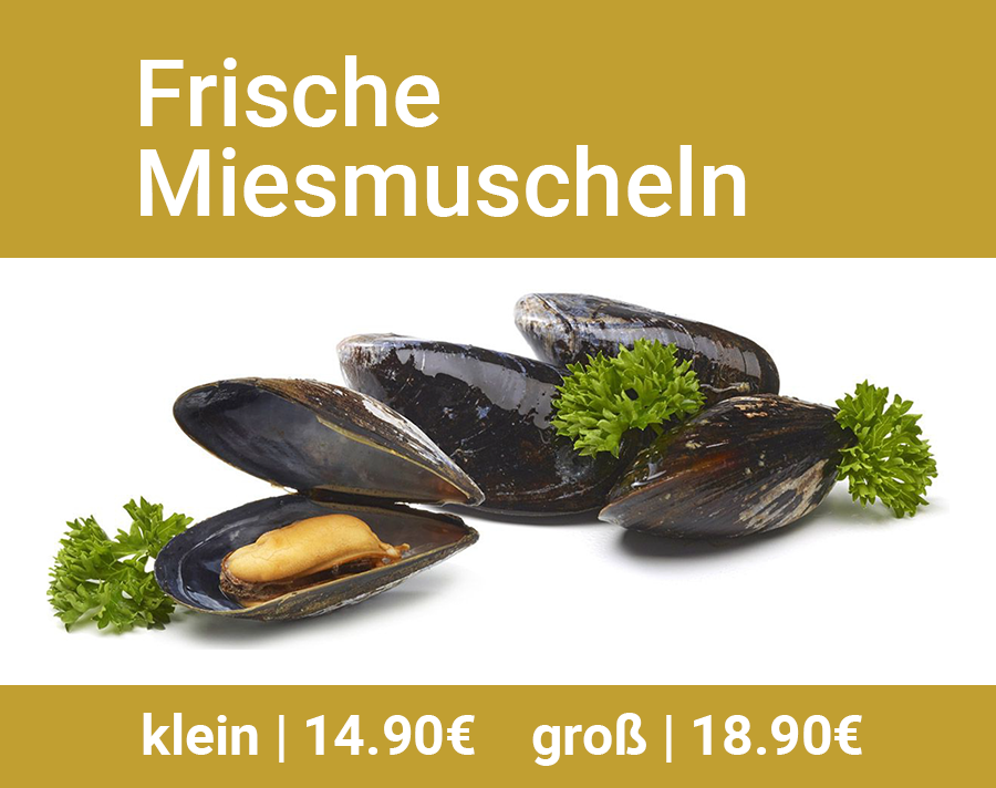 Miesmuscheln